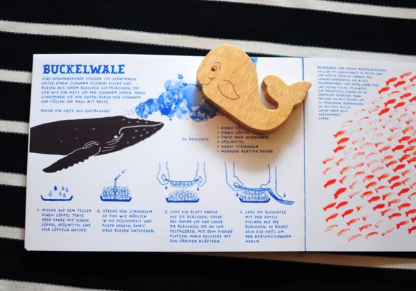 Kinderbuch: Meer - Wale